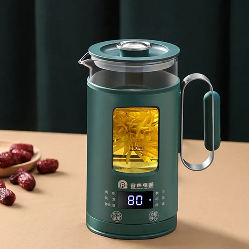 Electric Kettle With Temperature Control