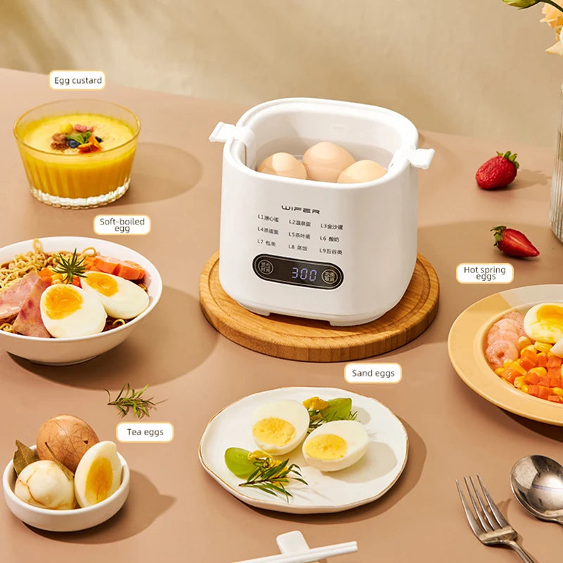 Electric Machine Multicooker Steamer