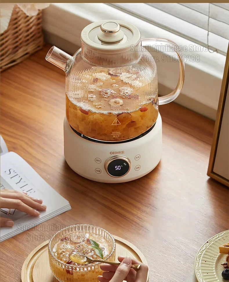 Health Pot Household Electric Kettle