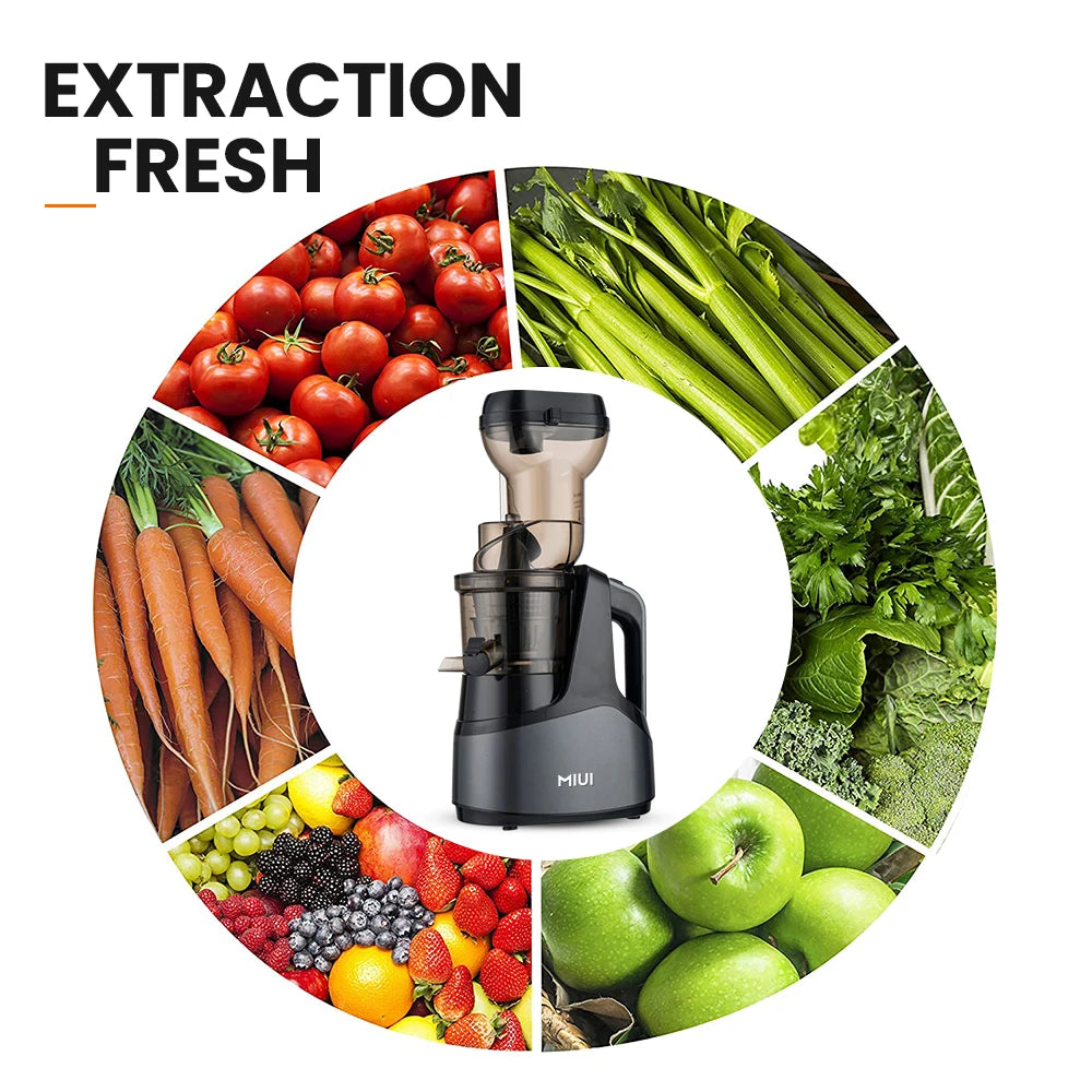 Original Juicer Commercial Juice Extractor