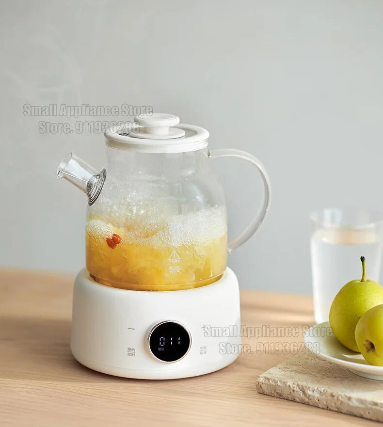 Multifunctional Health Pot Electric Kettle