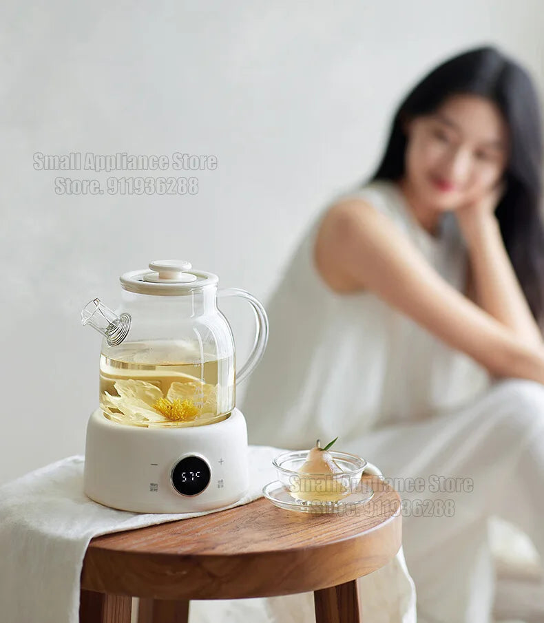 Multifunctional Health Pot Electric Kettle