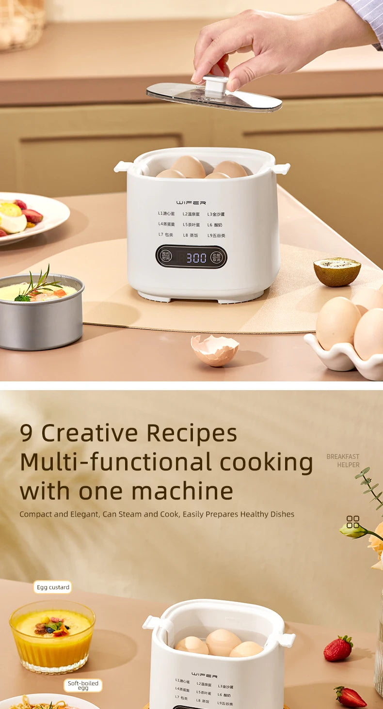Electric Machine Multicooker Steamer