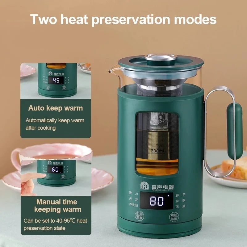 Electric Kettle With Temperature Control
