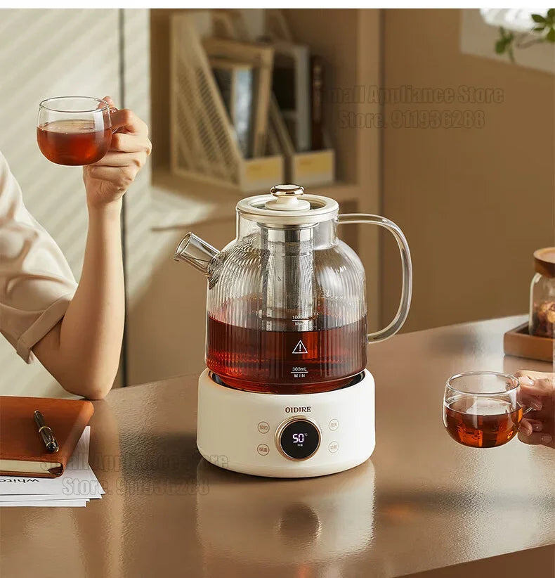 Health Pot Household Electric Kettle
