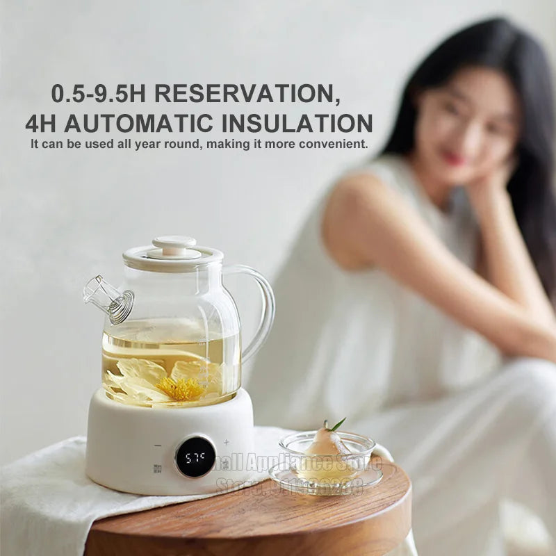 Multifunctional Health Pot Electric Kettle