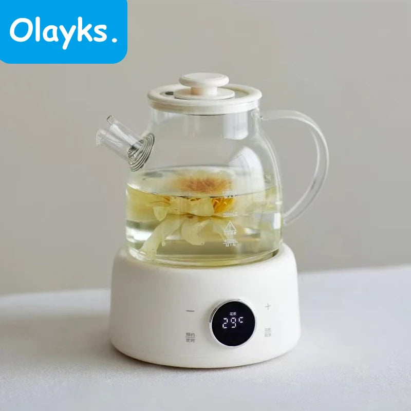 Multifunctional Health Pot Electric Kettle