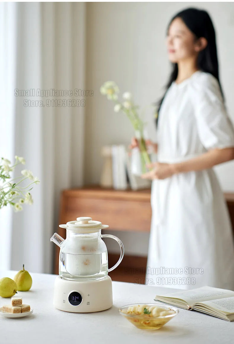 Multifunctional Health Pot Electric Kettle