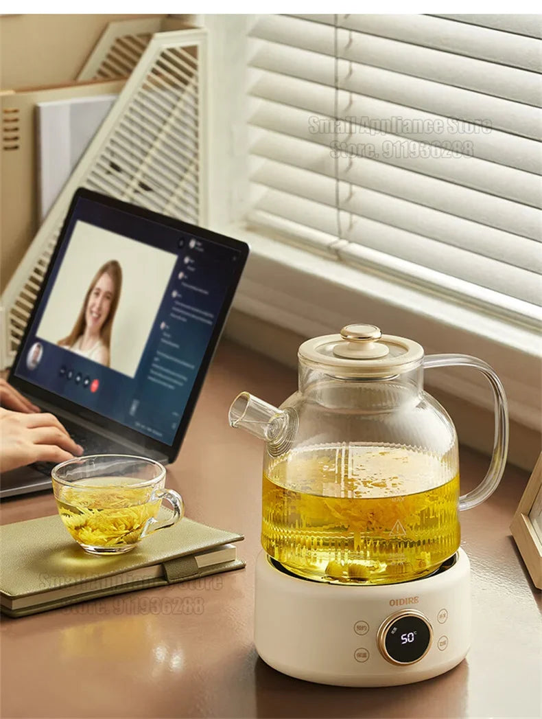 Health Pot Household Electric Kettle