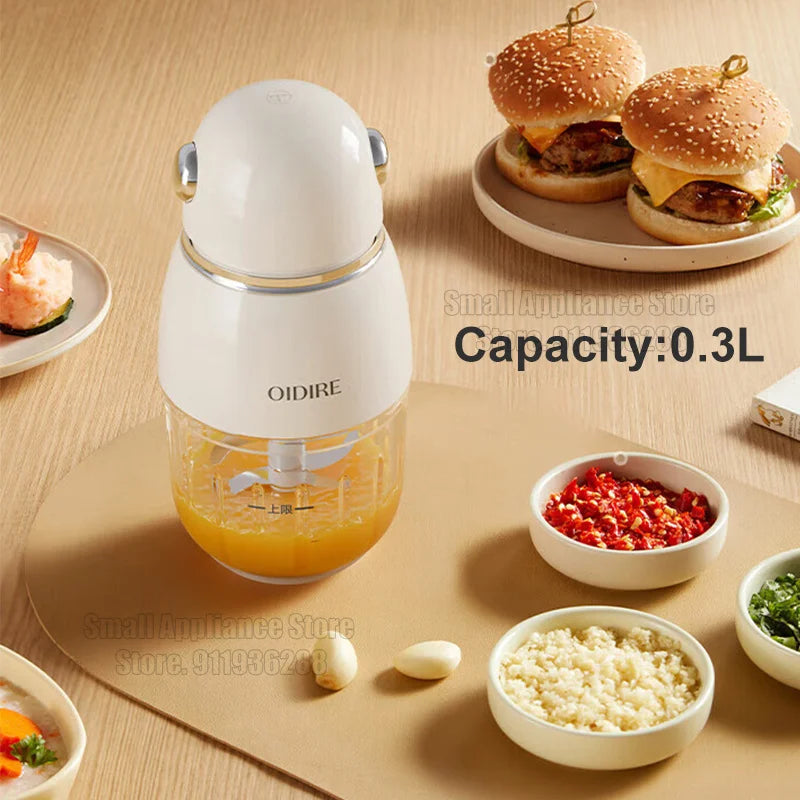 OIDIRE Electric Meat Grinder
