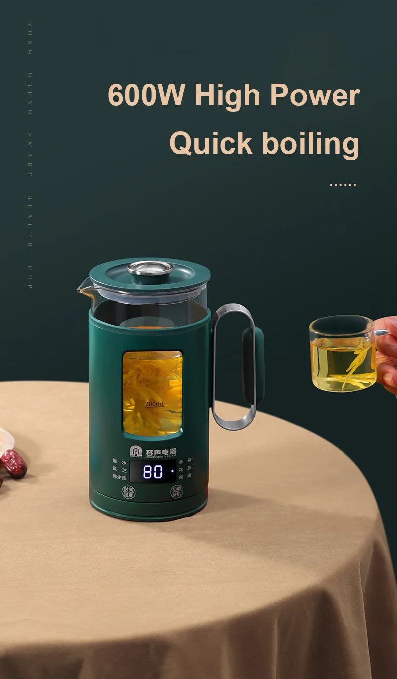 Electric Kettle With Temperature Control