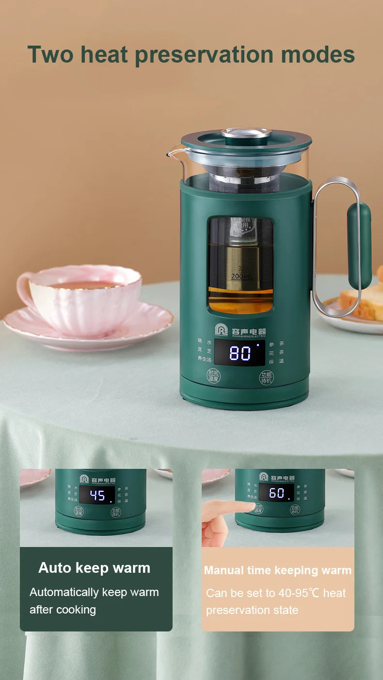 Electric Kettle With Temperature Control