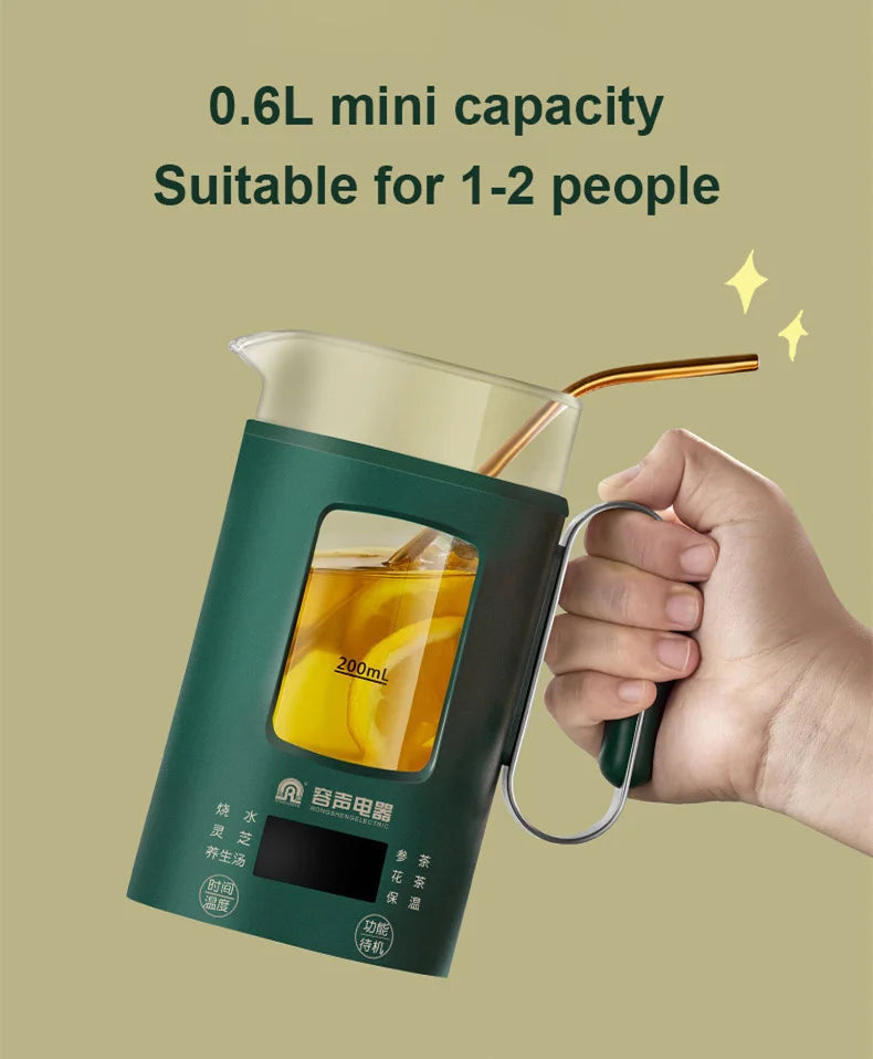 Electric Kettle With Temperature Control
