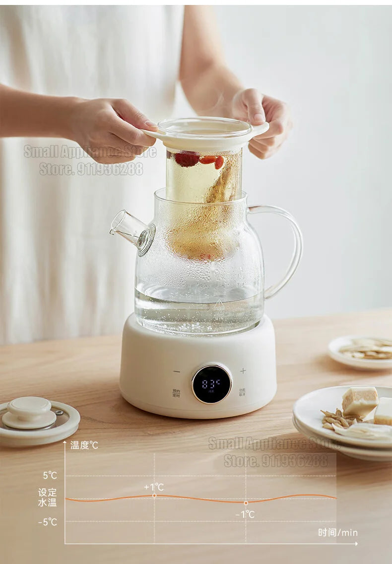 Pot Electric Kettle 1L Household