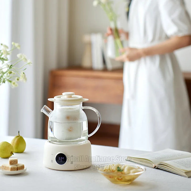 Multifunctional Health Pot Electric Kettle
