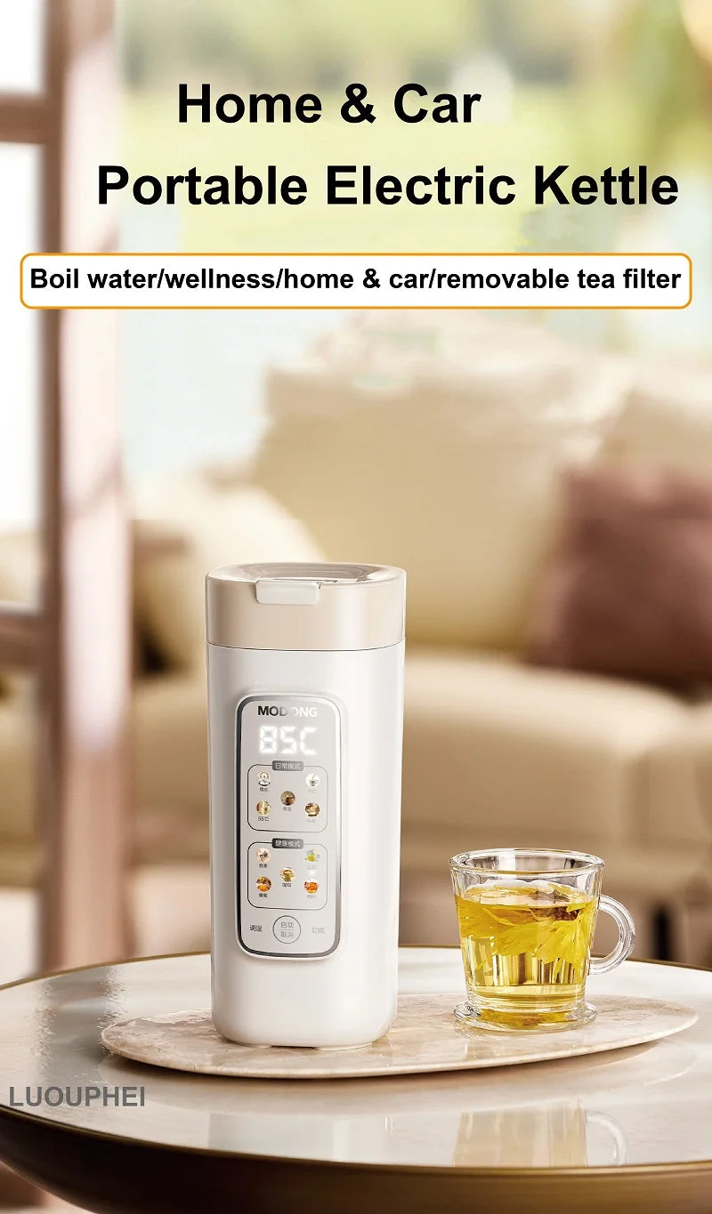 Electric Kettle Home & Car Portable Heating