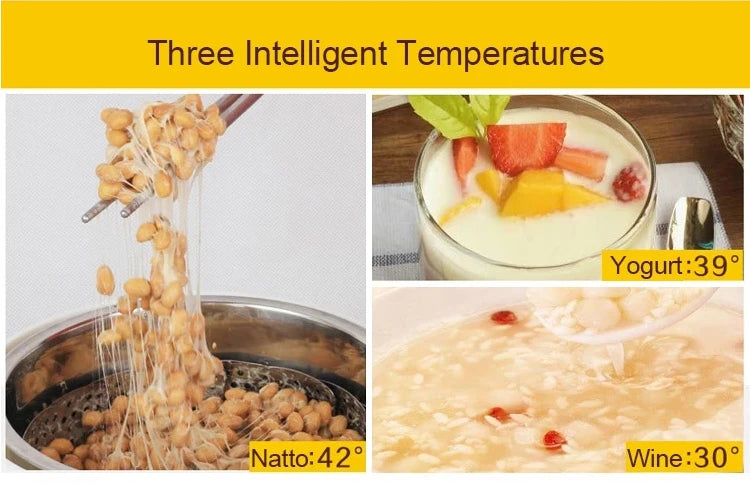 Professional Natto Making machine Multifunctional Rice Wine Yogurt Fermenter Fully Automatic fermentation equipment 110V 220V