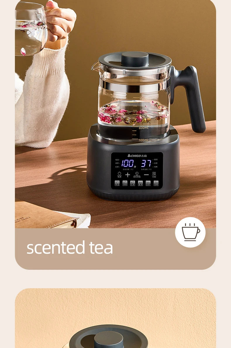 1.3L Steam Spray Tea Kettle