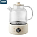 Health Pot Household Electric Kettle