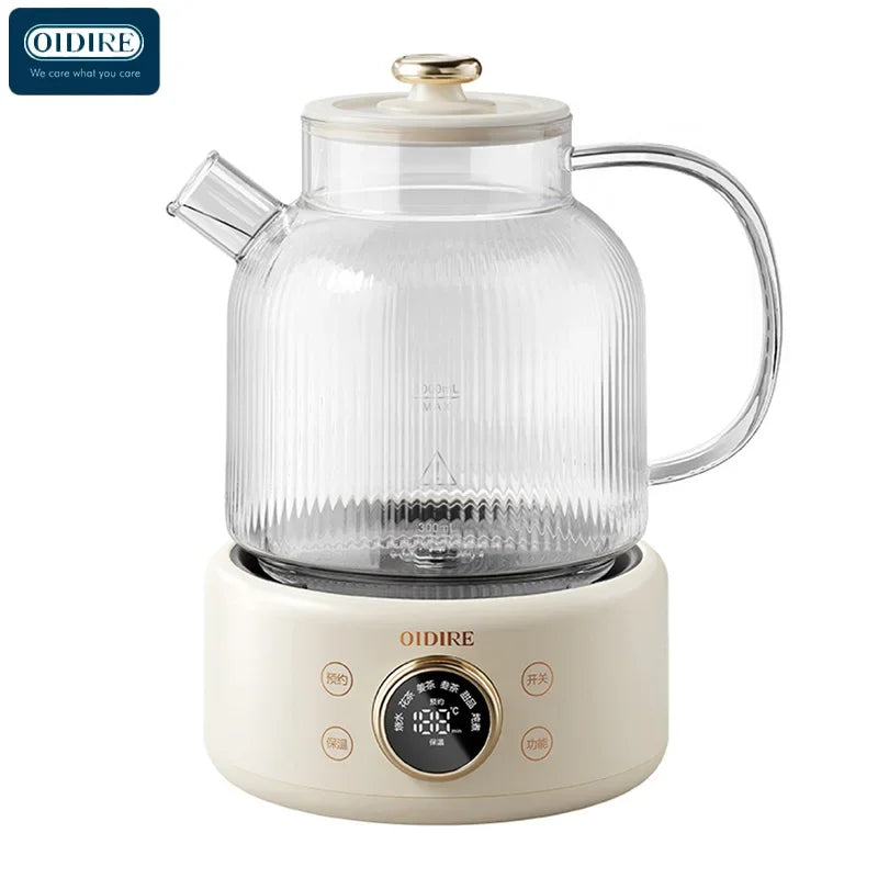 Health Pot Household Electric Kettle