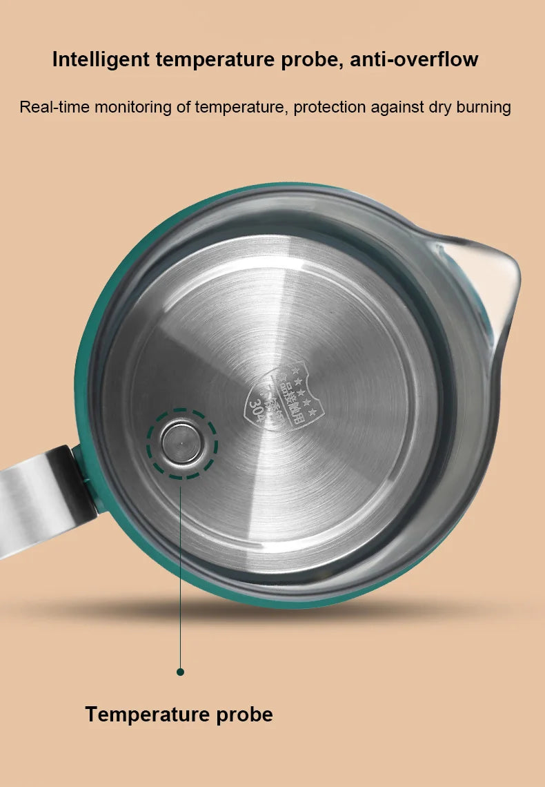Electric Kettle With Temperature Control