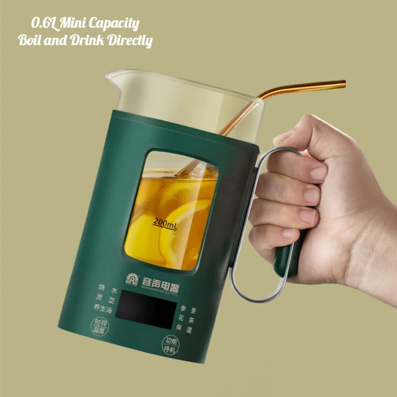 Electric Kettle With Temperature Control