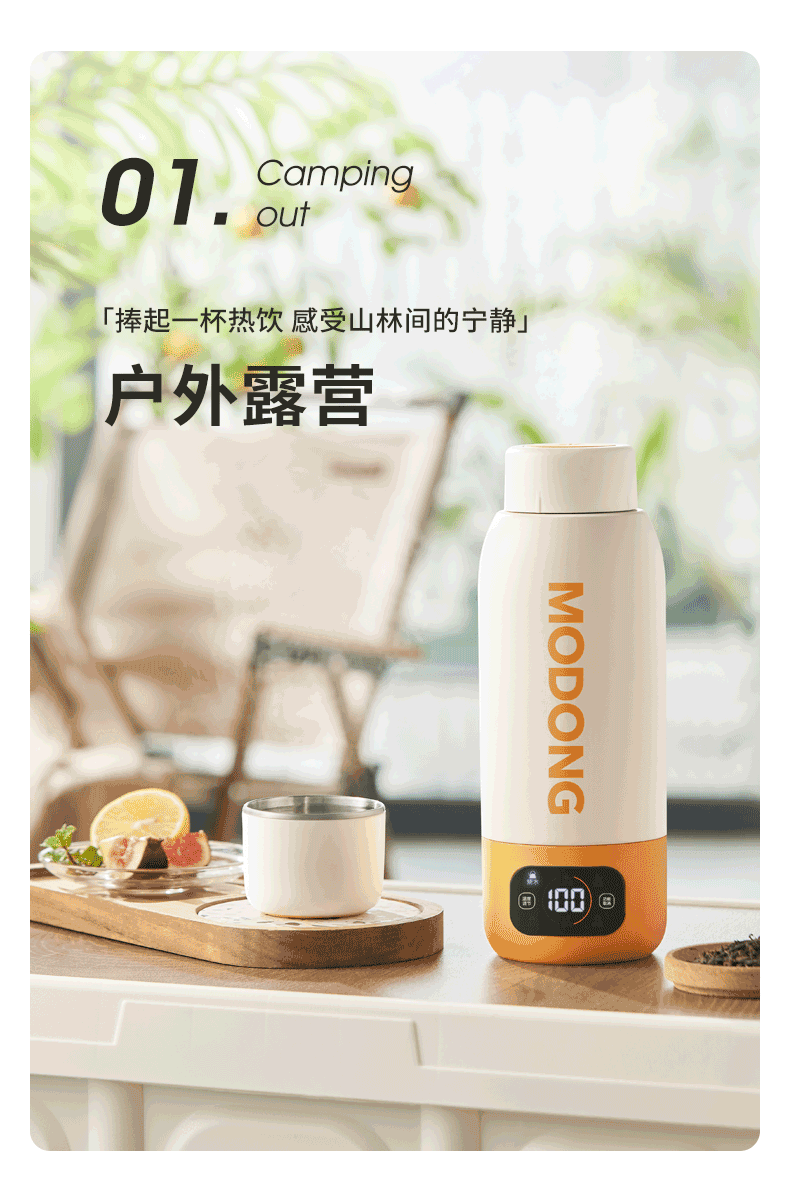 Electric Kettle Portable Heating