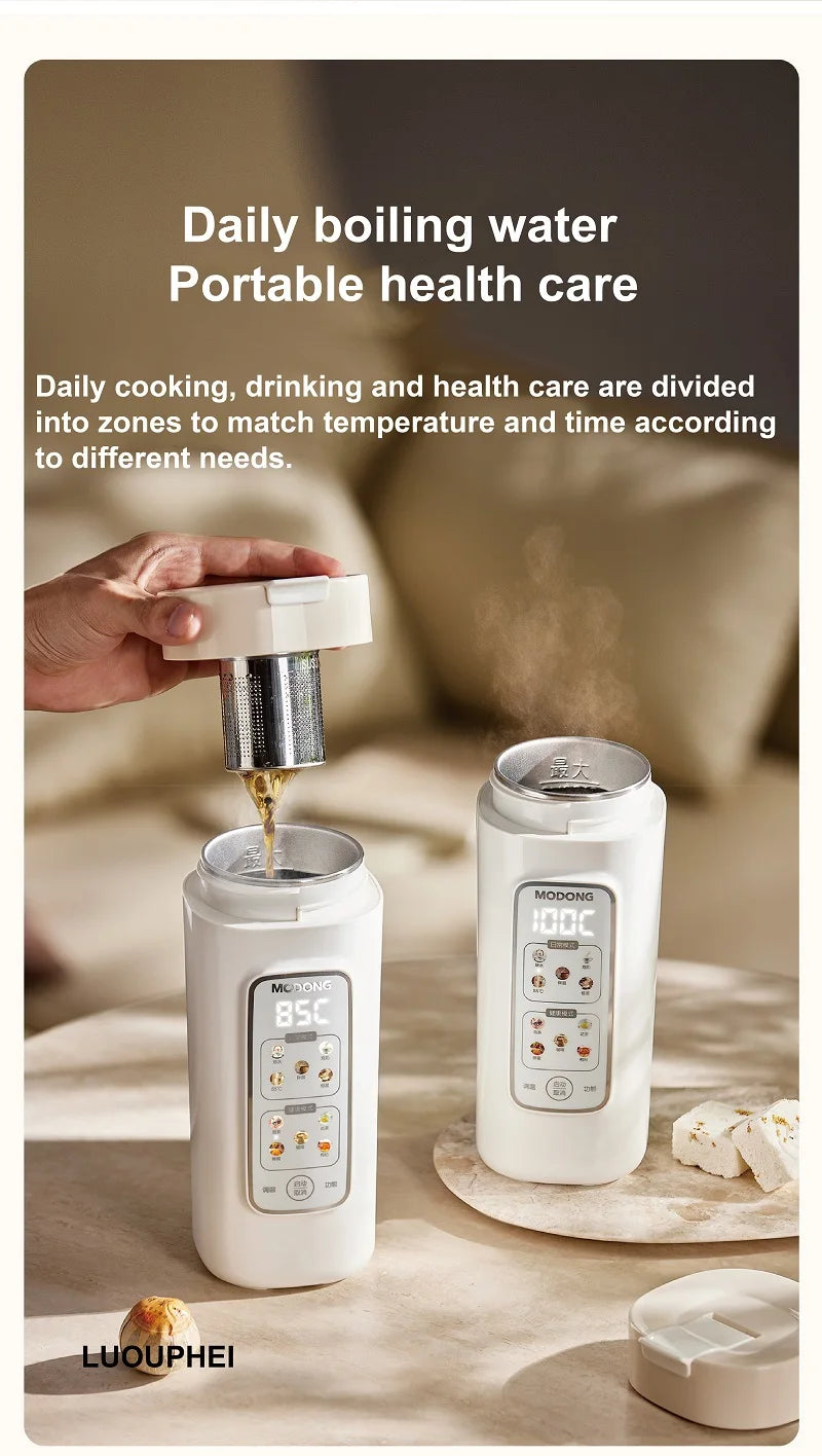Electric Kettle Home & Car Portable Heating