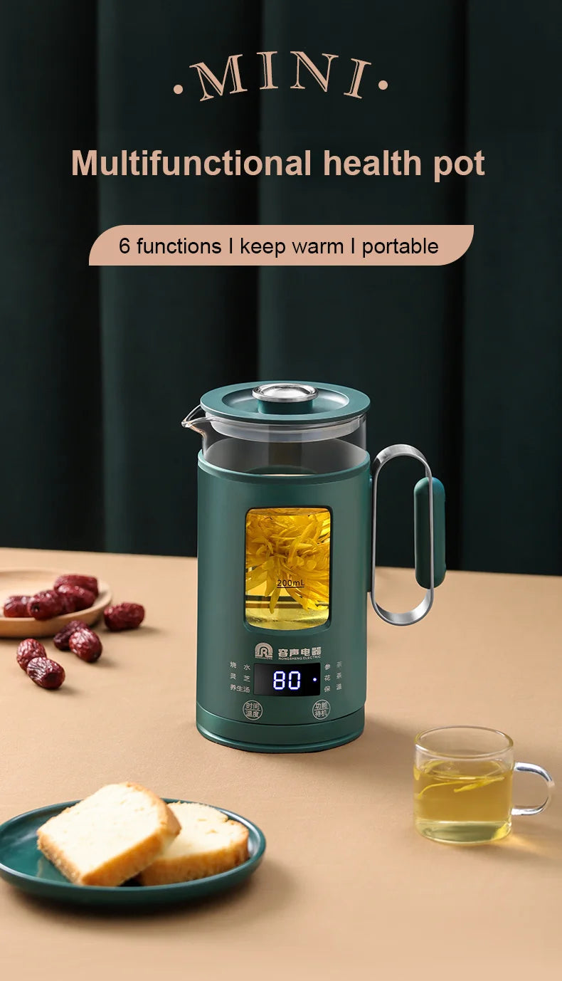Electric Kettle With Temperature Control
