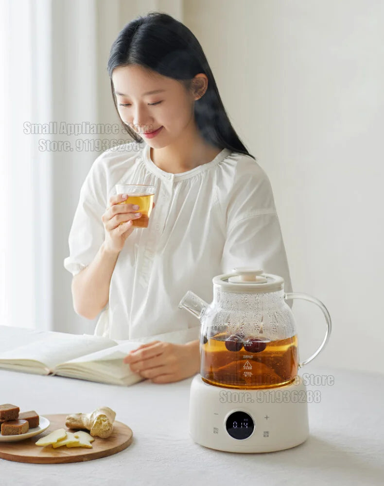 Multifunctional Health Pot Electric Kettle