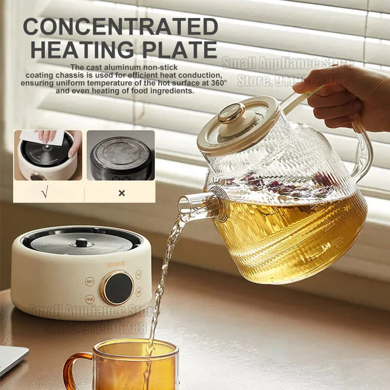 Health Pot Household Electric Kettle