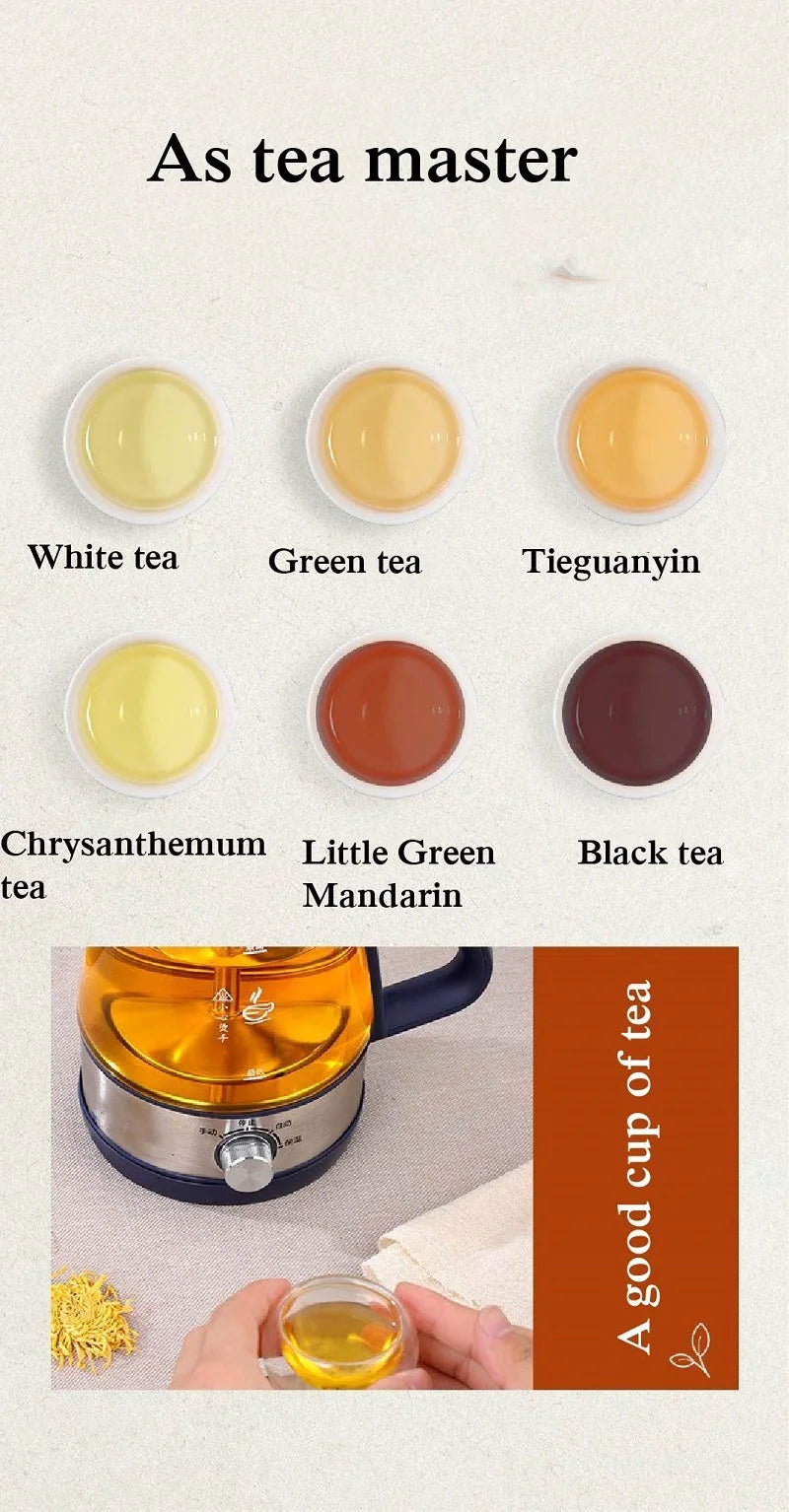 1L Electric Kettle Heat-resistant Glass Tea Infuser Pot With Filter  Automatic Steam Spray Borosilicate glass Teapot Health Pot