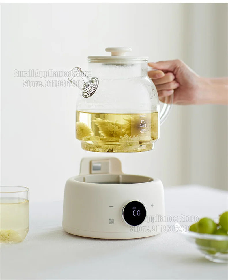Multifunctional Health Pot Electric Kettle