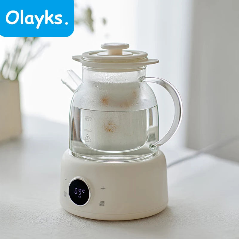 Pot Electric Kettle 1L Household