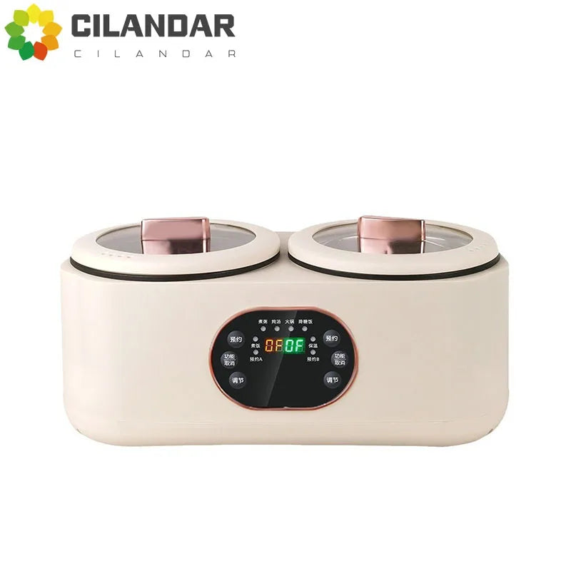 Double Gallbladder Electric Rice Cooker Multifunctional Fully Automatic Intelligent Hot Pot Steamer