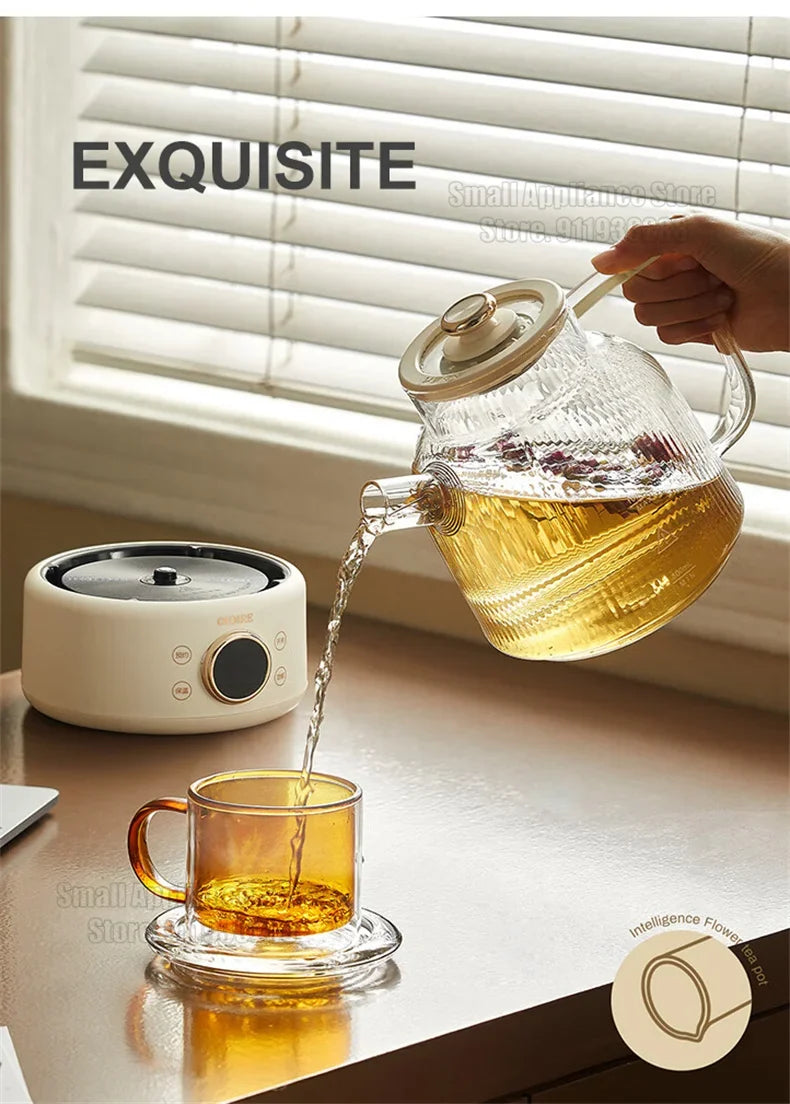 Health Pot Household Electric Kettle