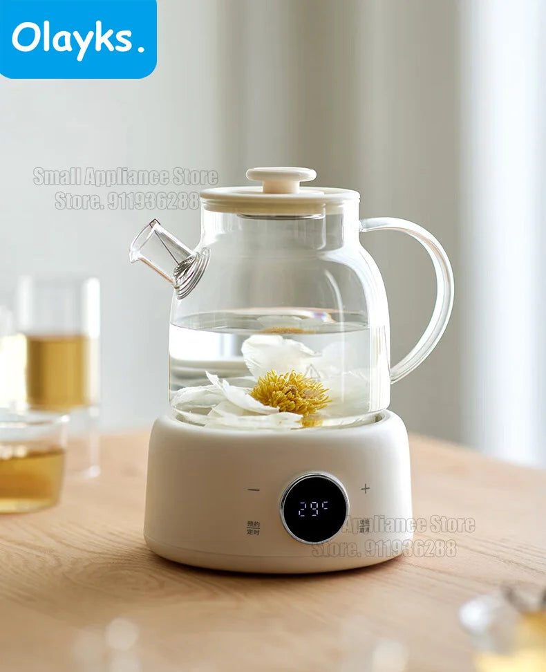 Multifunctional Health Pot Electric Kettle