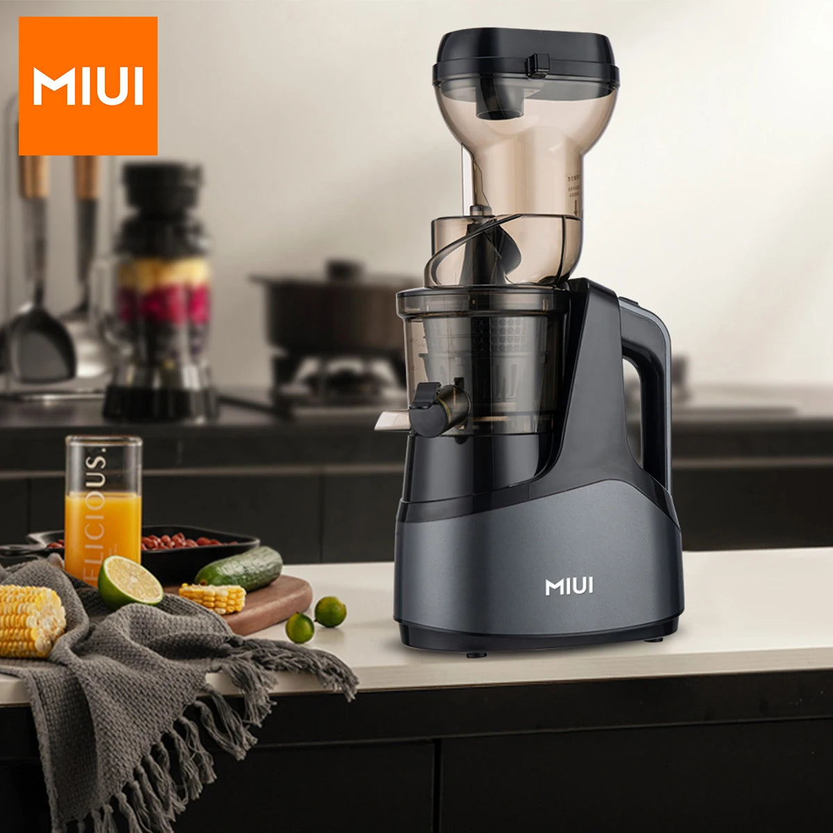 Original Juicer Commercial Juice Extractor