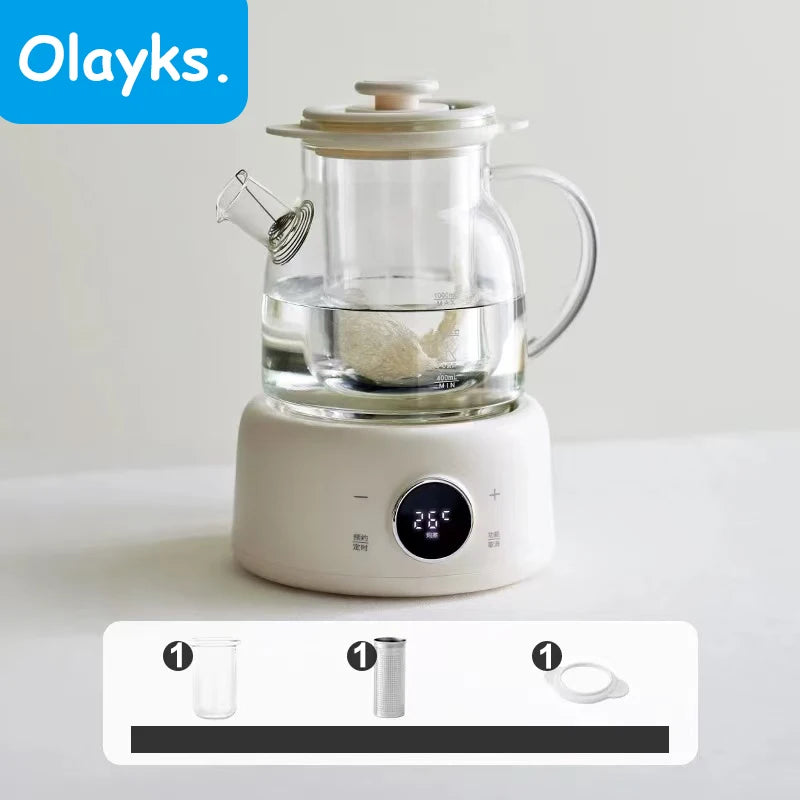 Multifunctional Health Pot Electric Kettle